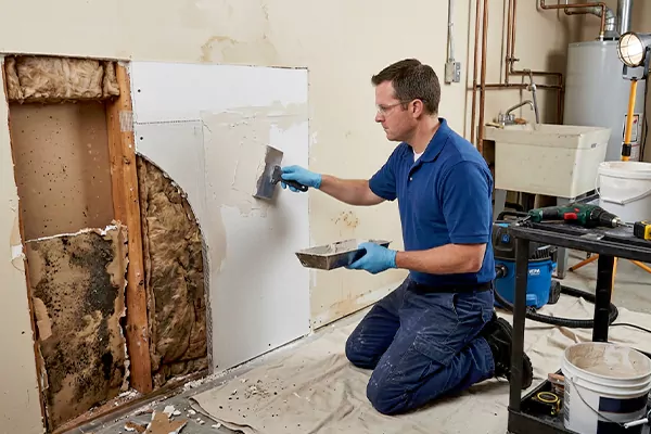 Mold and Drywall Repair La Verne