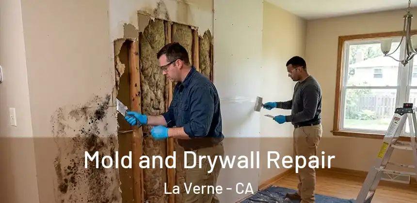  Mold and Drywall Repair La Verne - CA