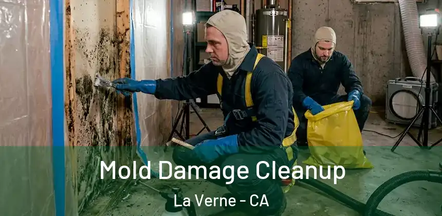 Mold Damage Cleanup La Verne - CA
