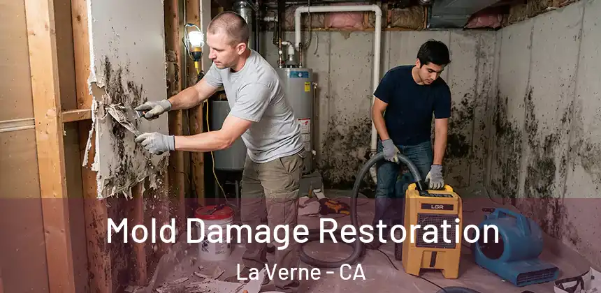  Mold Damage Restoration La Verne - CA