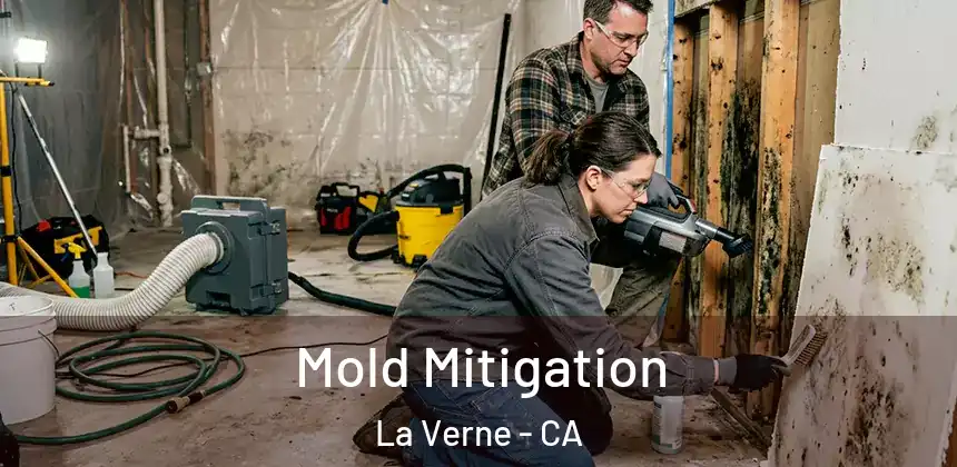  Mold Mitigation La Verne - CA