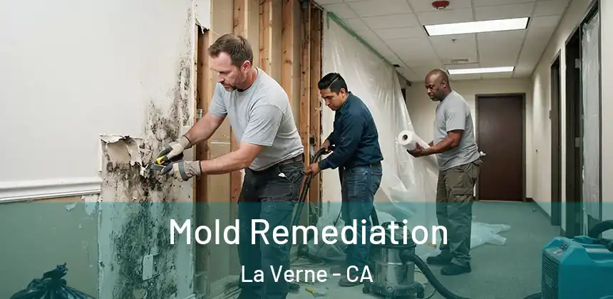  Mold Remediation La Verne - CA