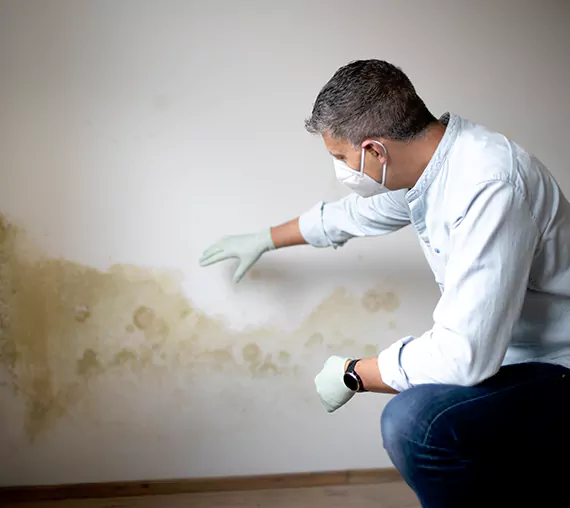 Mold Removal Service in La Verne, CA