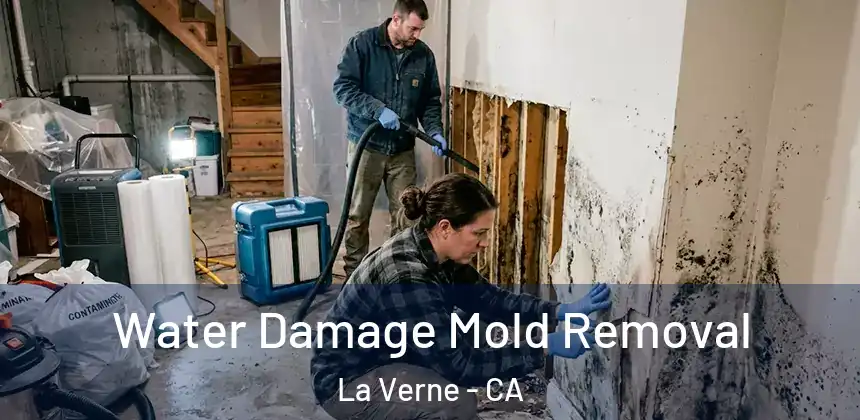  Water Damage Mold Removal La Verne - CA